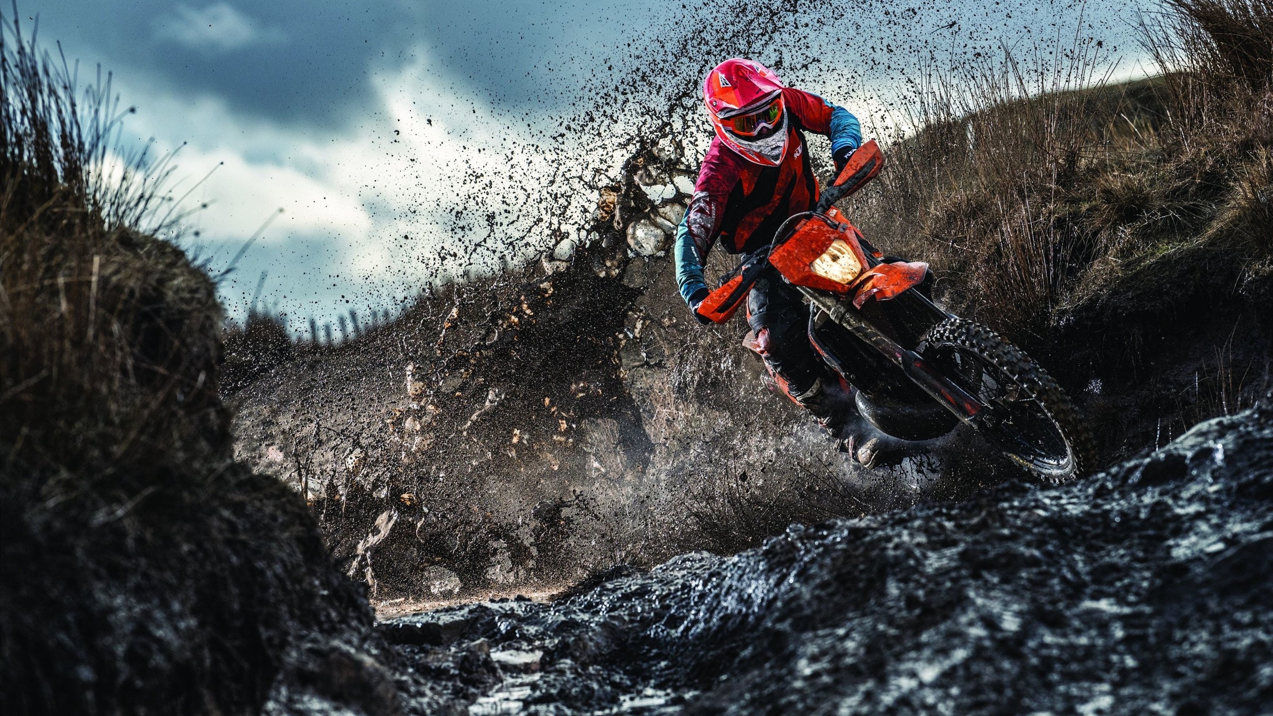 开云体育ios-_新能源动力飞行器体验：飞跃天际的新尝试_，会飞的新能源汽车